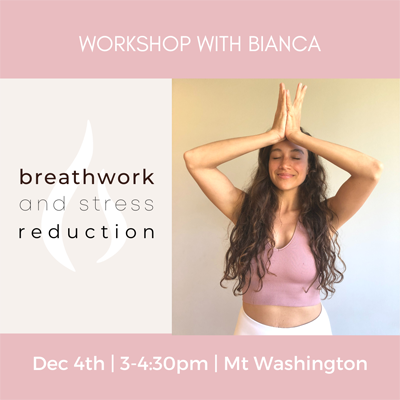 Breathwork and Stress Reduction Workshop